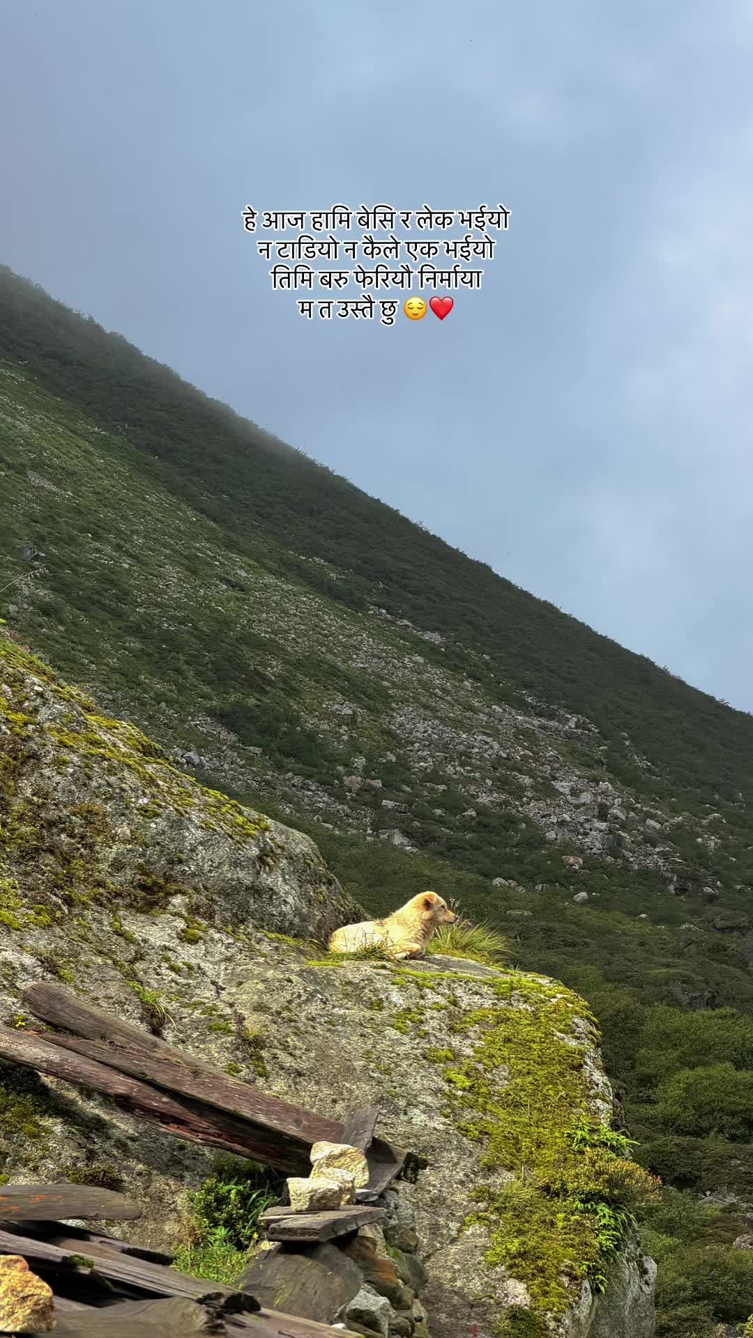 @Bijaya Nepal