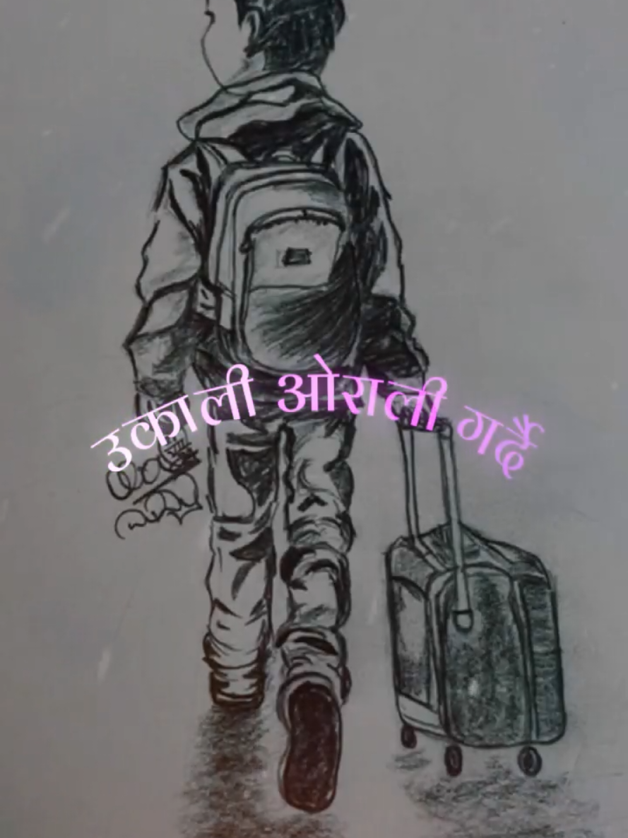 @basnet edit zone