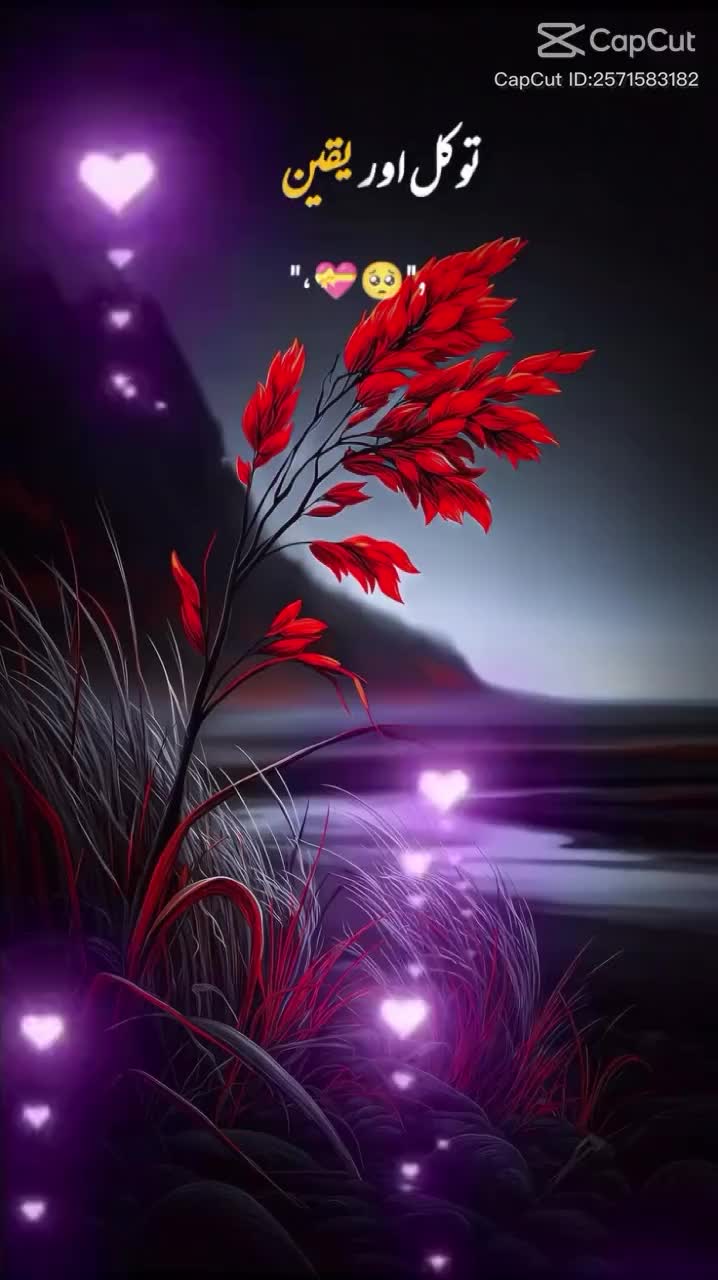 @javed shaikh