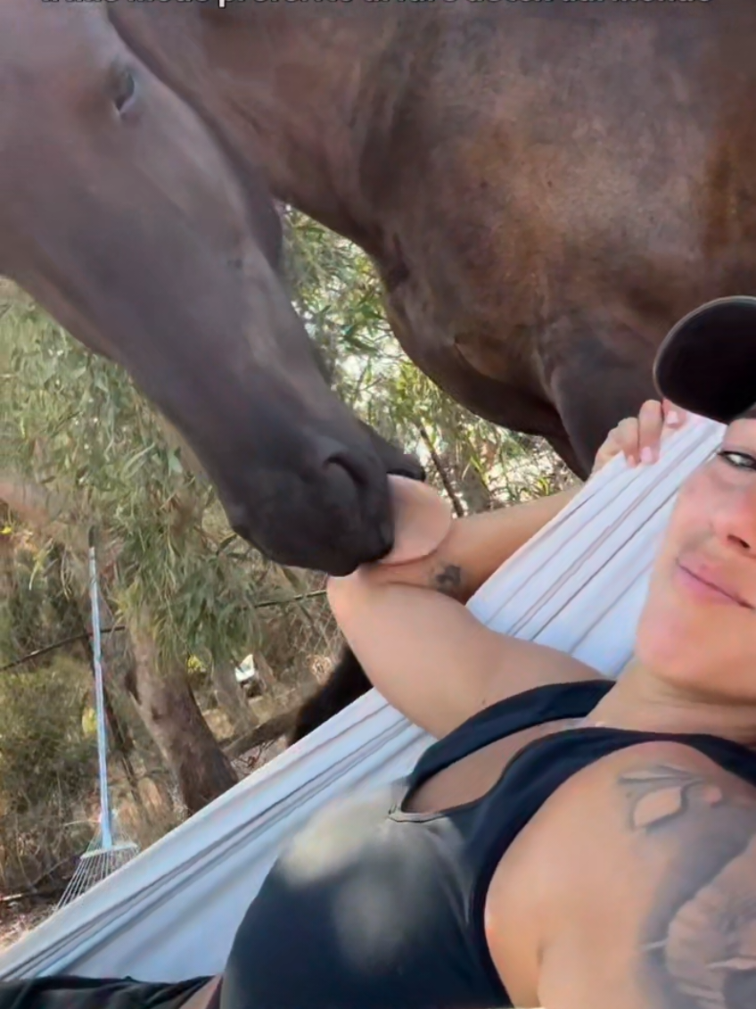 @streamhorse