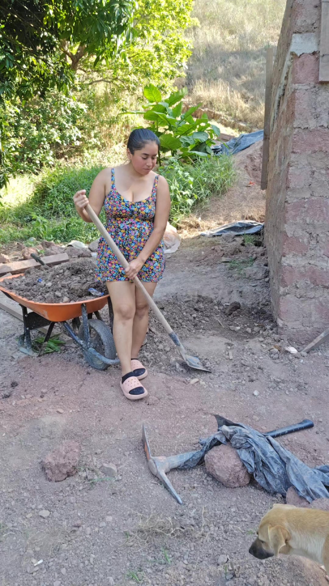 @Ana vasquez .