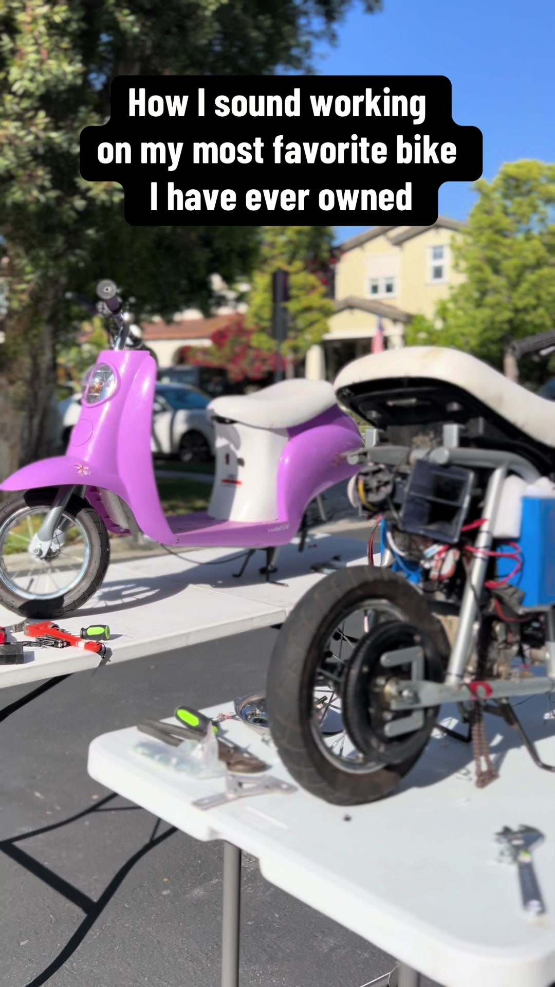 @da_purp_moped