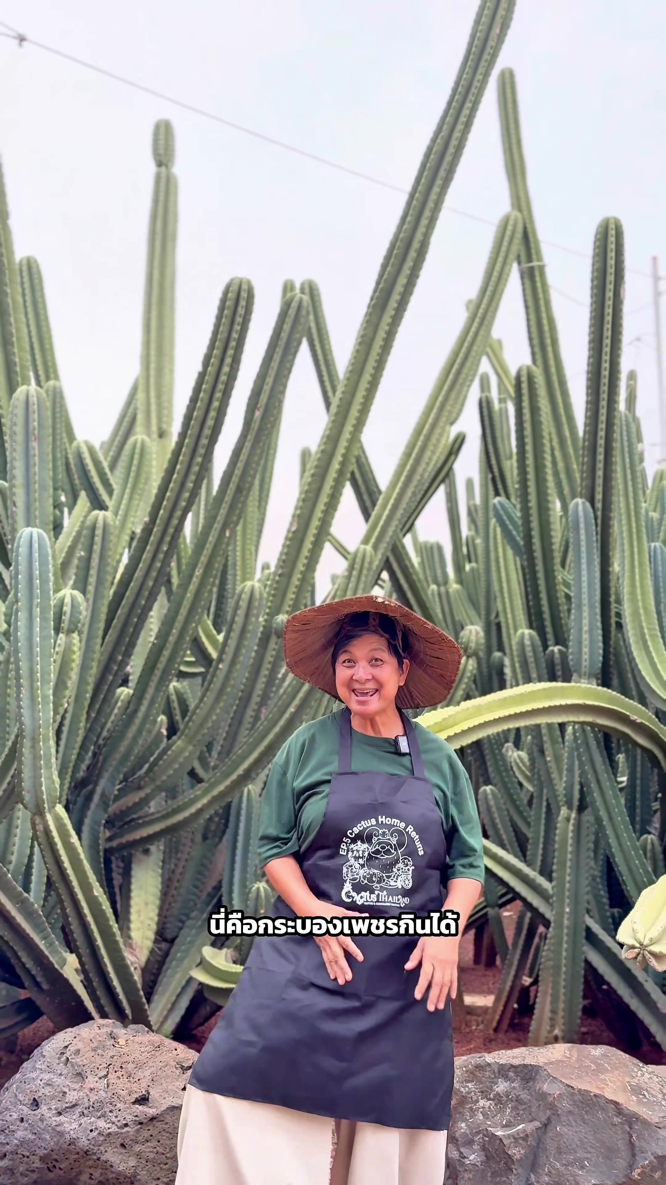 @ไร่วันยังขำ Oneyoungkham farm