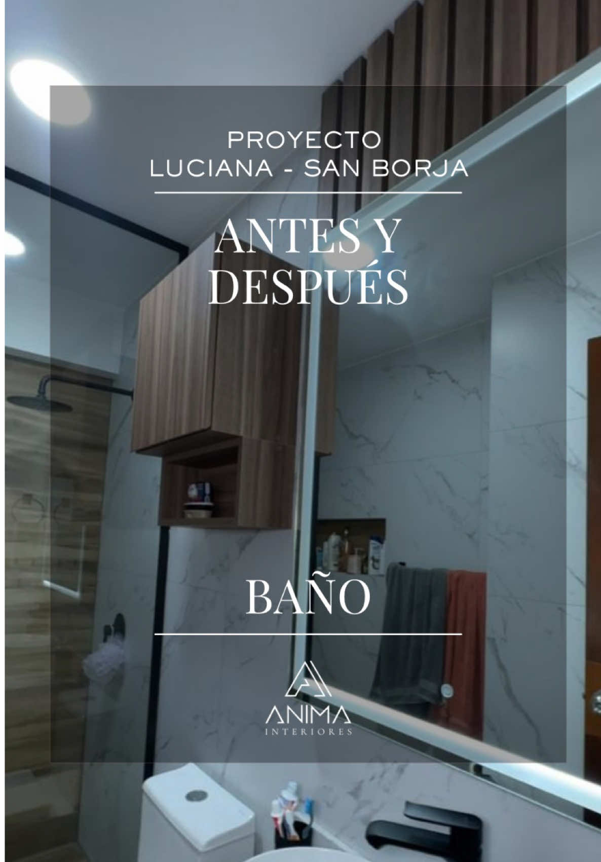 @Anima Interiores