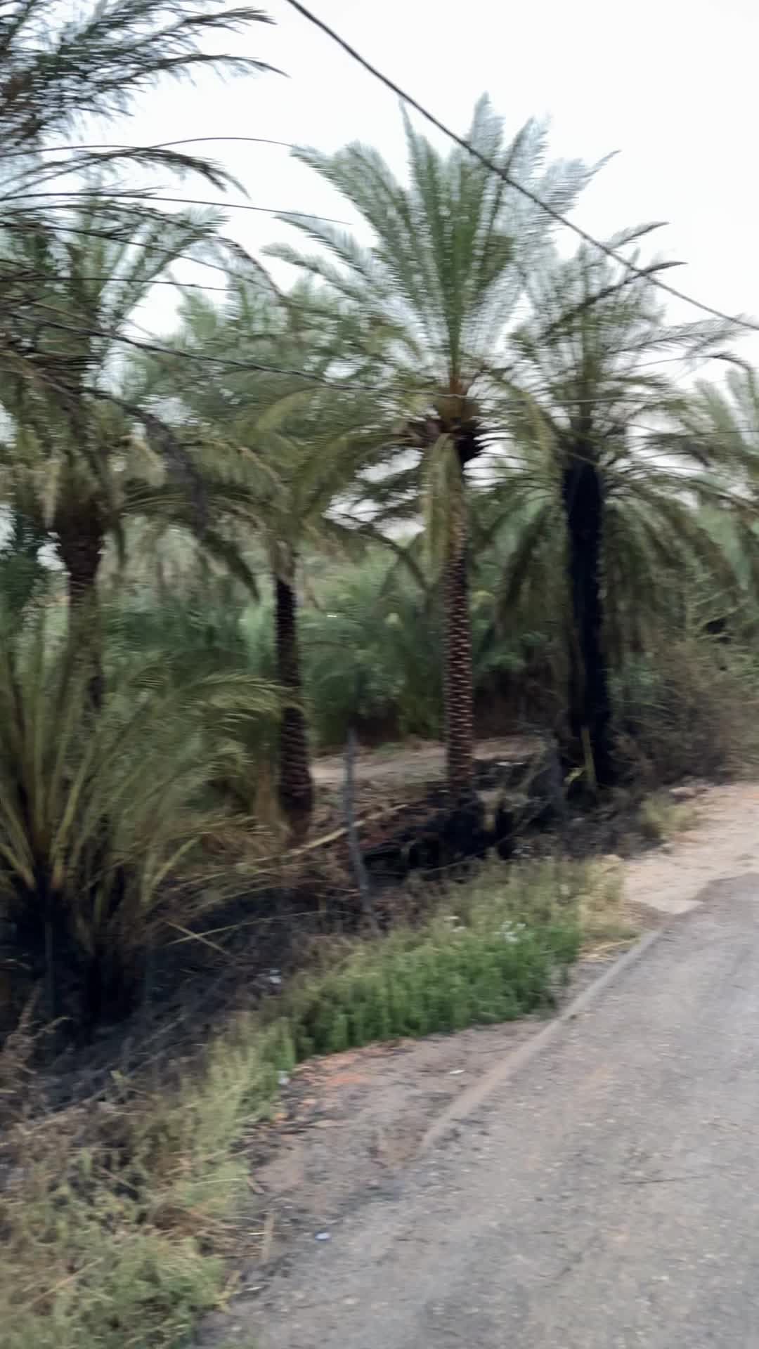 @علاوي