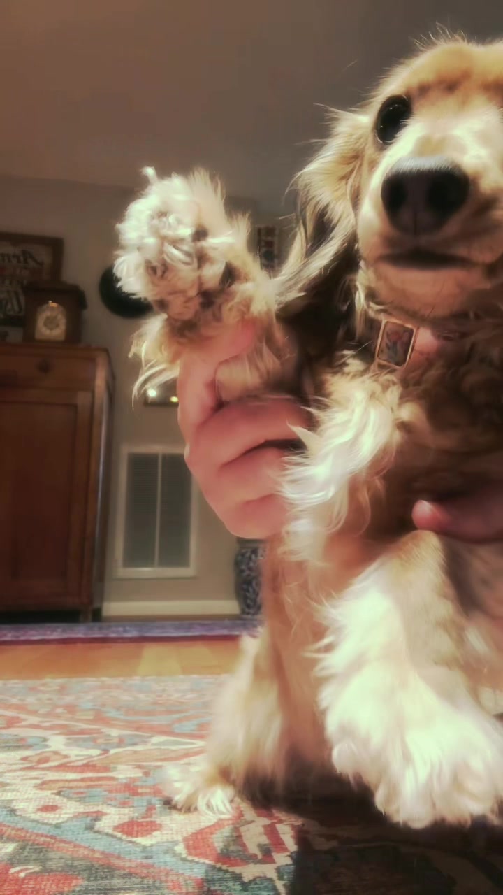 @Cricket Bug The Weenie