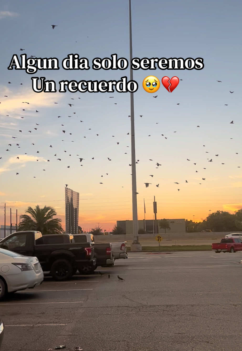 @𝓐𝓵𝓲𝓬𝓮 𝓖'👩🍳🍪🦋☘️
