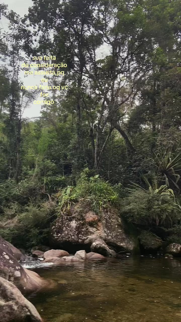 @sofii🪭