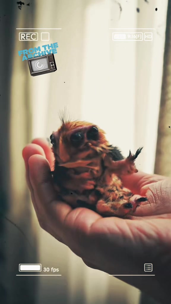 @ExoplanetWildlife