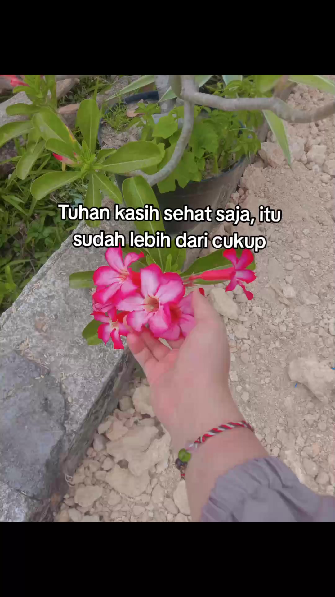 @L😋