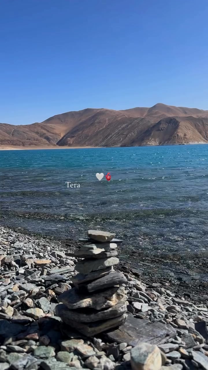 @B7F乛حسيب