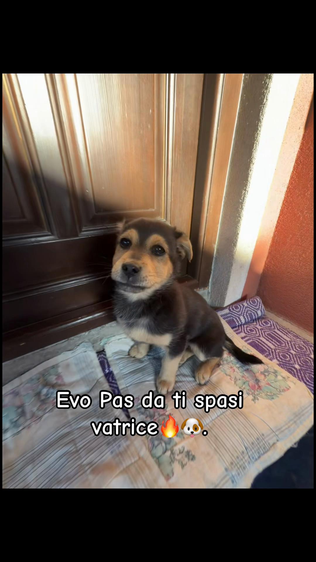 @&Alpha;&eta;&eta;&alpha;🩵🖇️