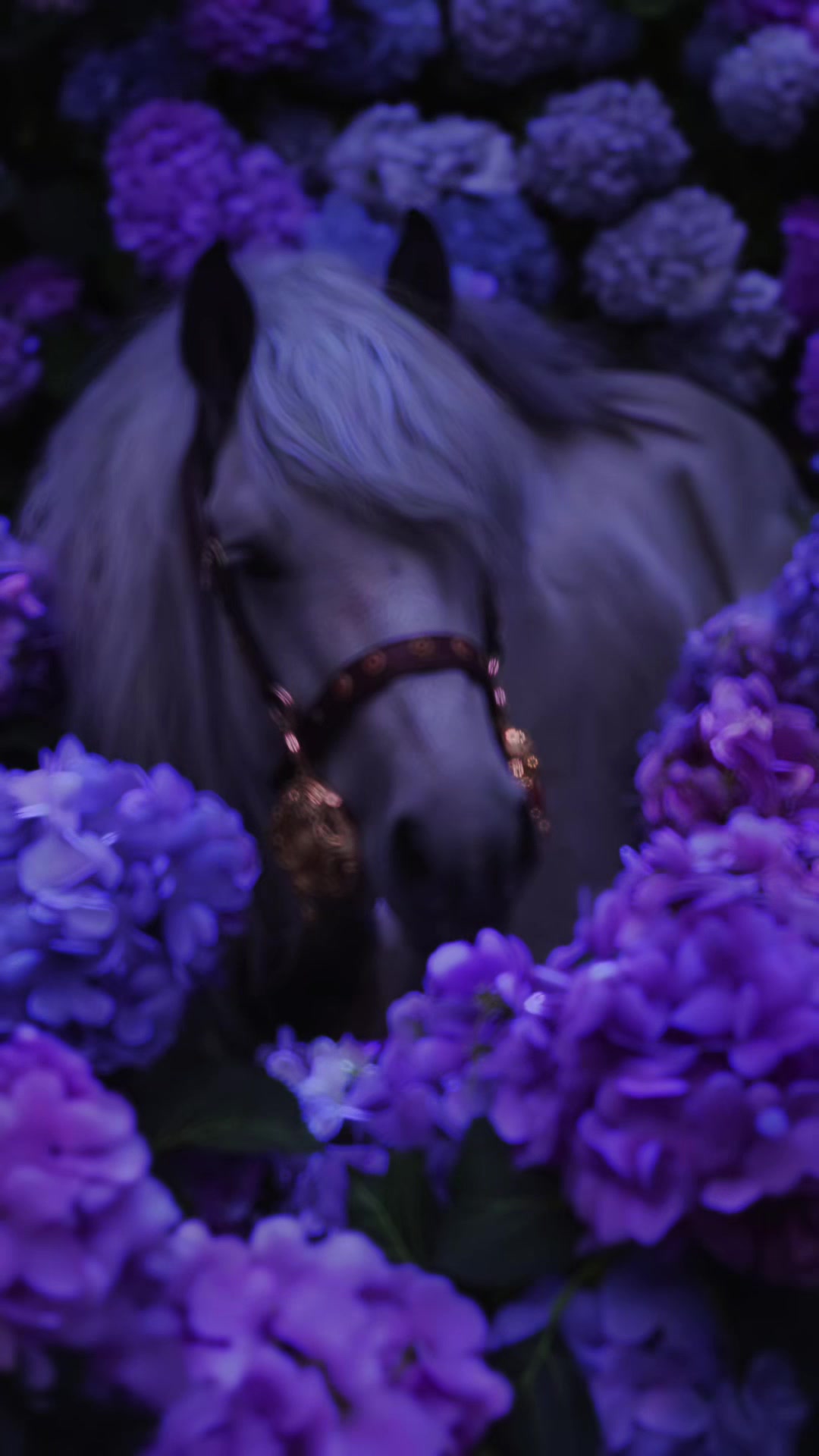 @نهى القطان