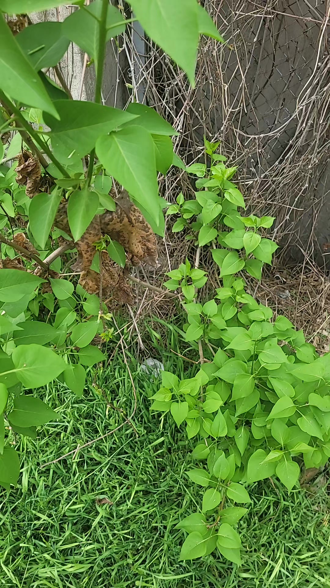 @Айнур74❤️Куаныш 68❤️