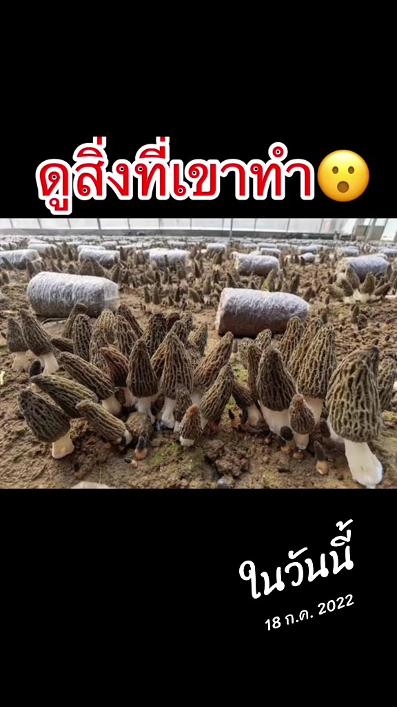 @เกษตรกรรม บูรณาการ