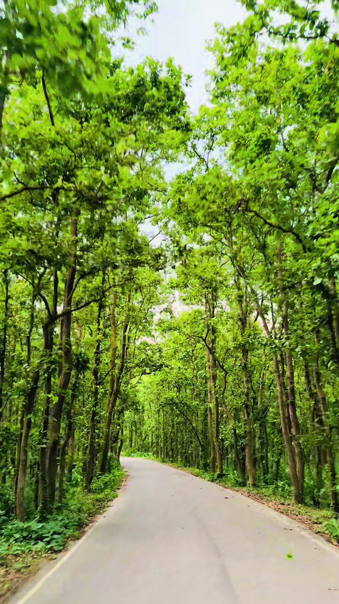 @🌼[ " CaFe শীতল হাওয়া " ]🌼