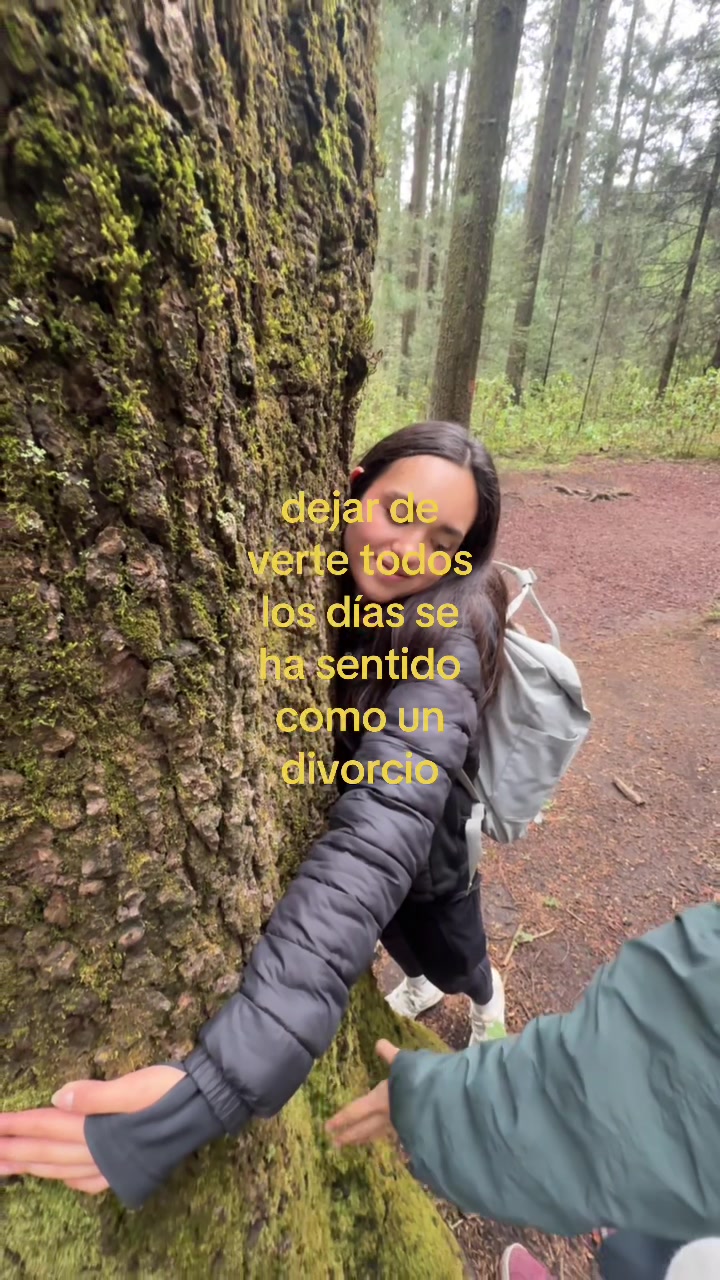 @zian rocha