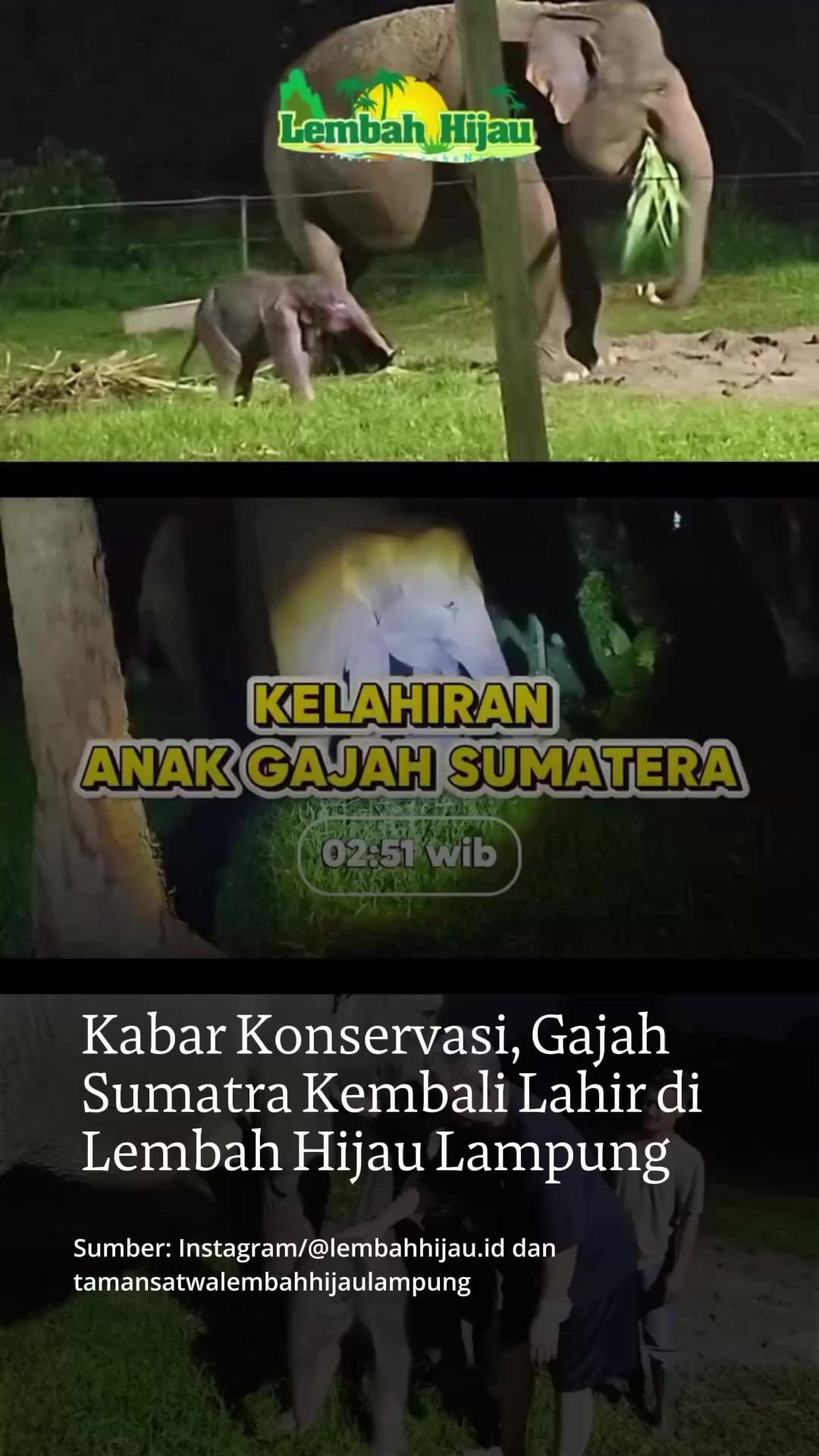 @mongabayindonesia