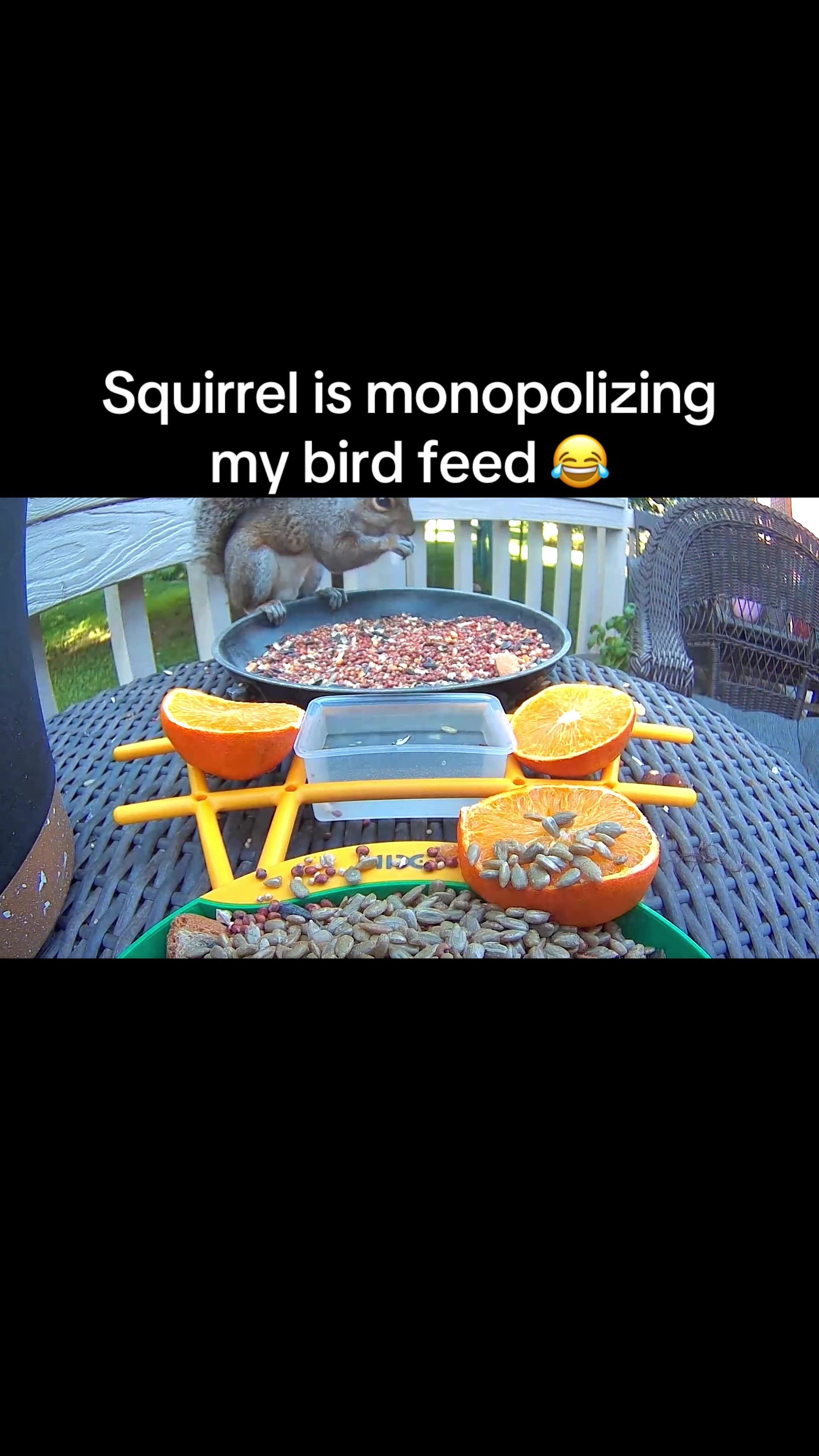 @GordonH