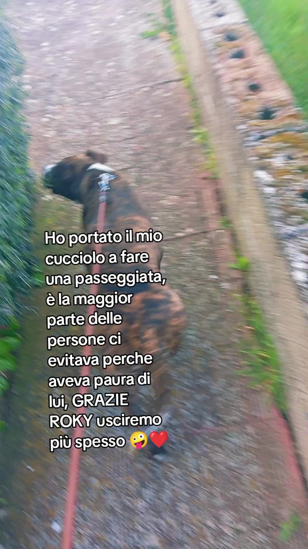 @francesca pinna