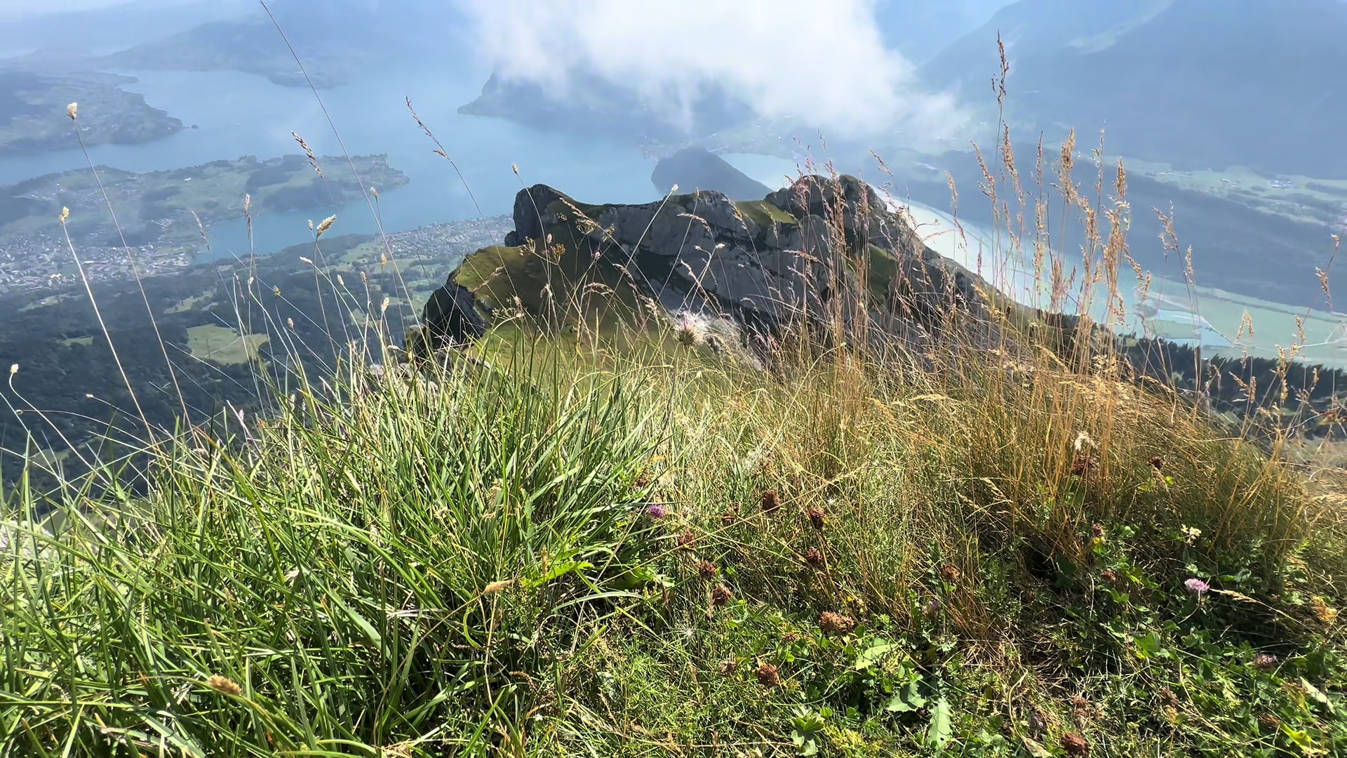 @swisskyline
