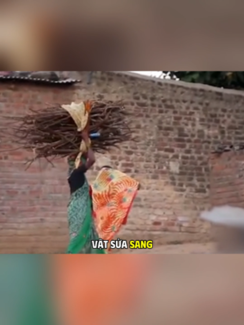@Vương Gia Vọng Tộc