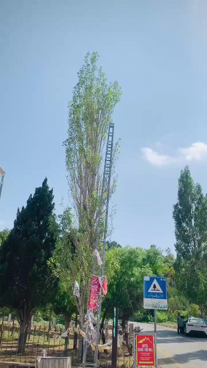 @muneeraslam_0786