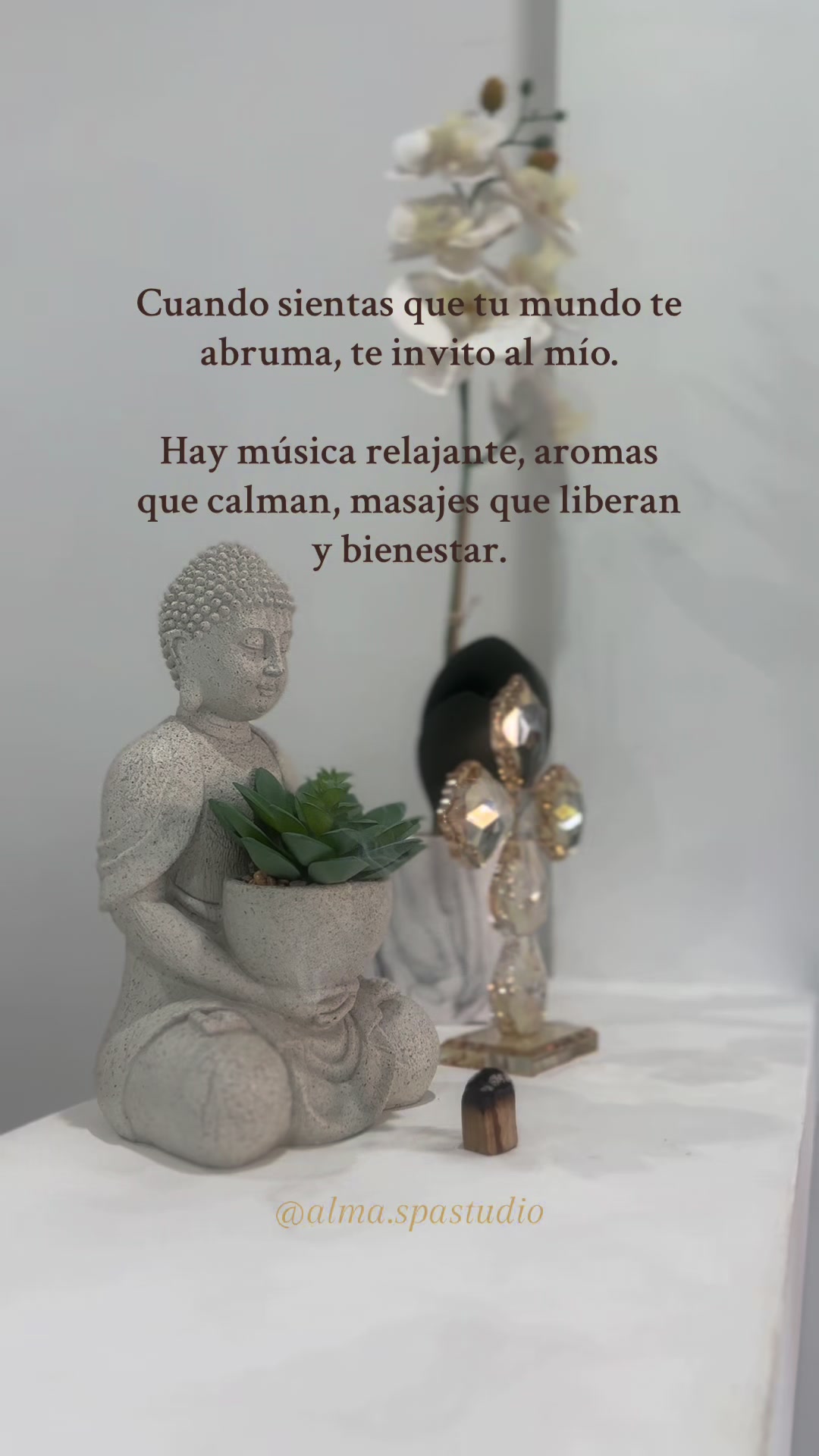 @ALMA SPA • STUDIO