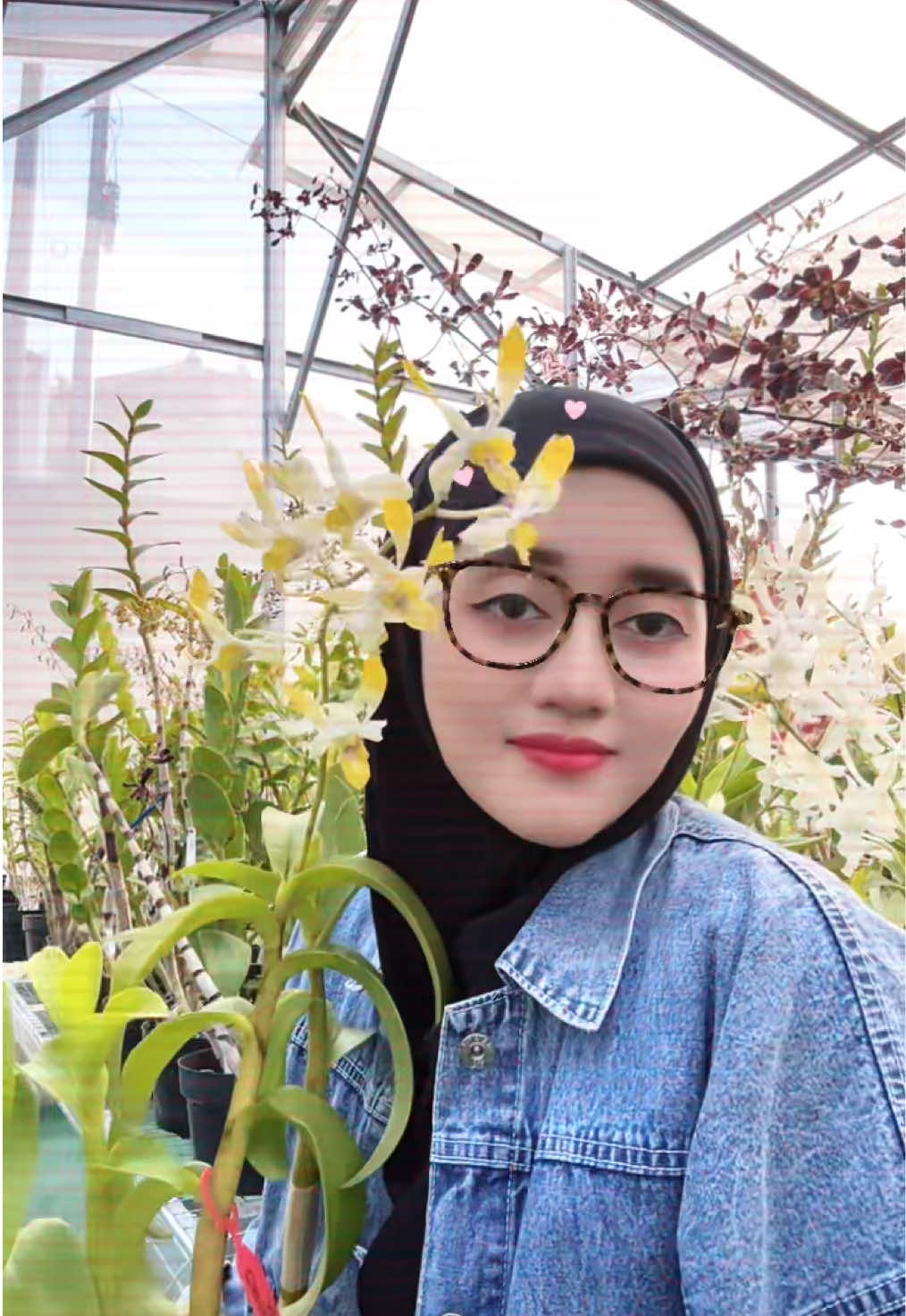 @Anggina Orchid