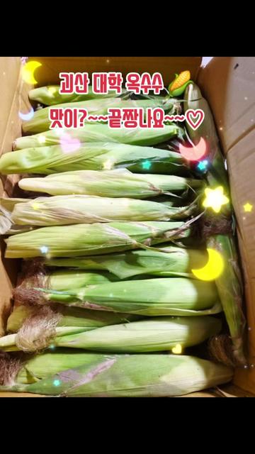@๐ฉโจ๏ธ๐ฅ์ธ์์ค๋
๐ฅโจ๏ธ๐ช
