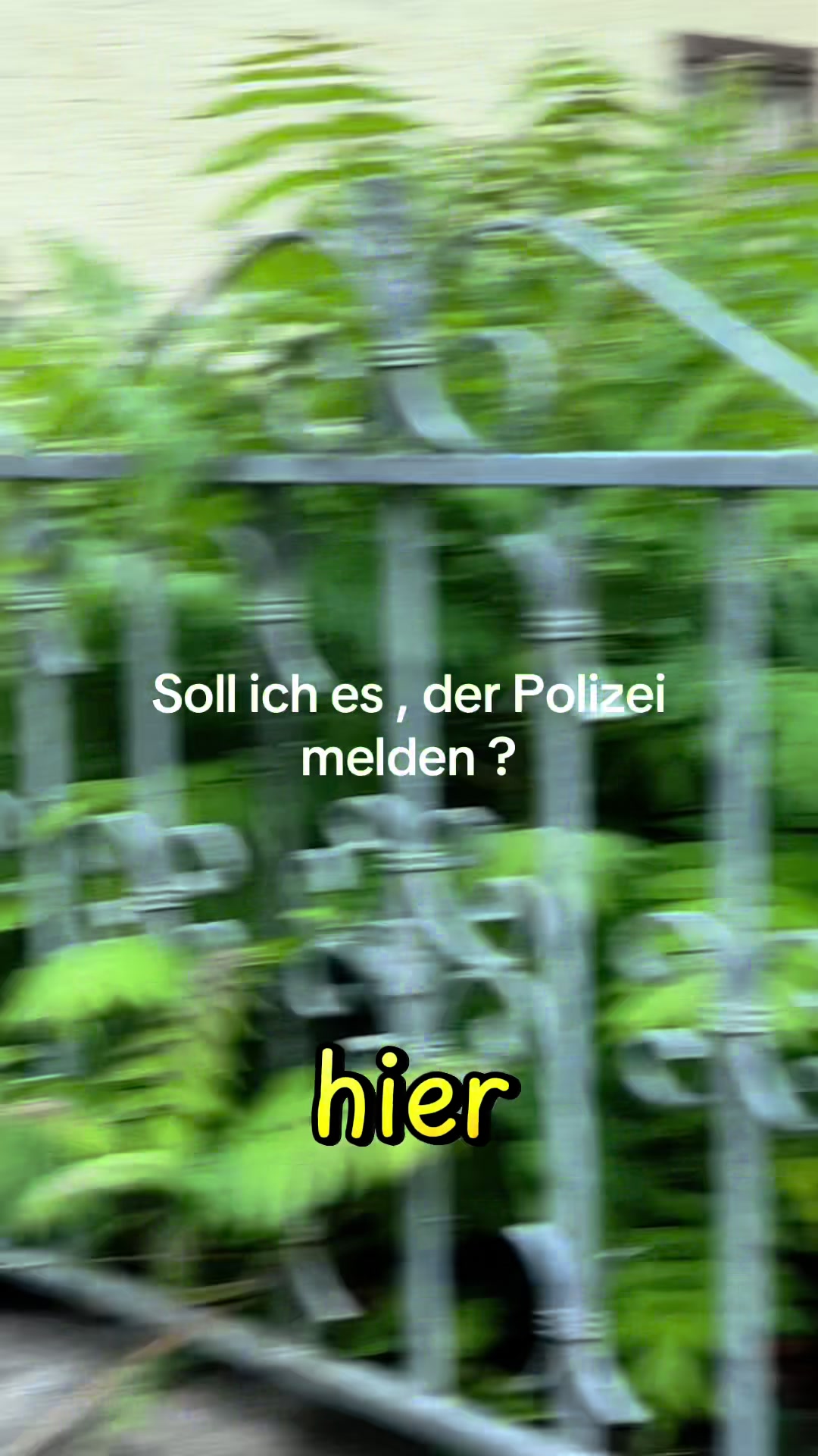 @Valentin🇩🇪grow-Level up