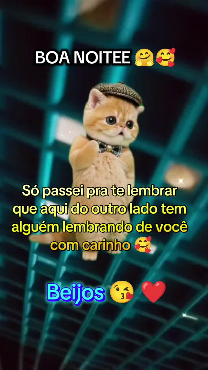 @girassol🌻