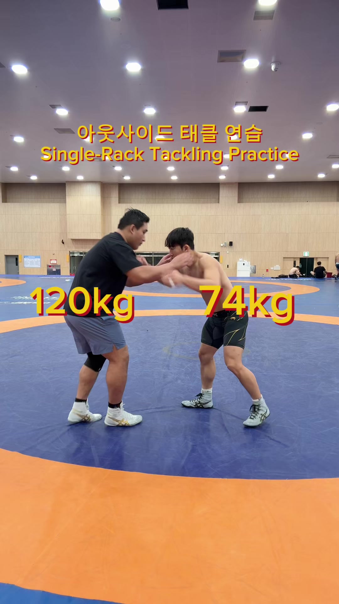 @WWW__wrestler