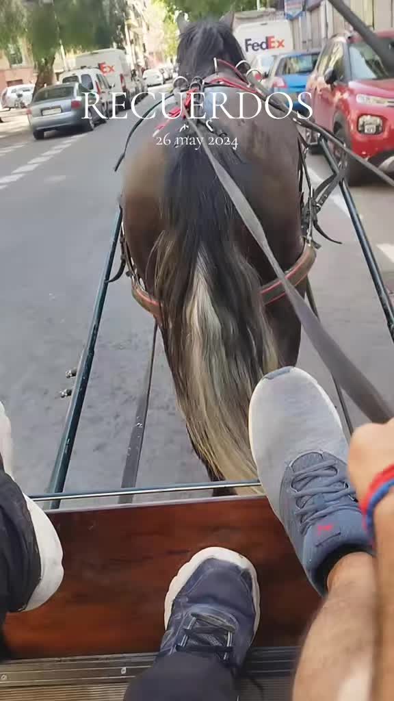 @laferrarilamercedes