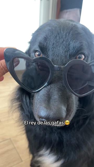 @ruthsantana997
