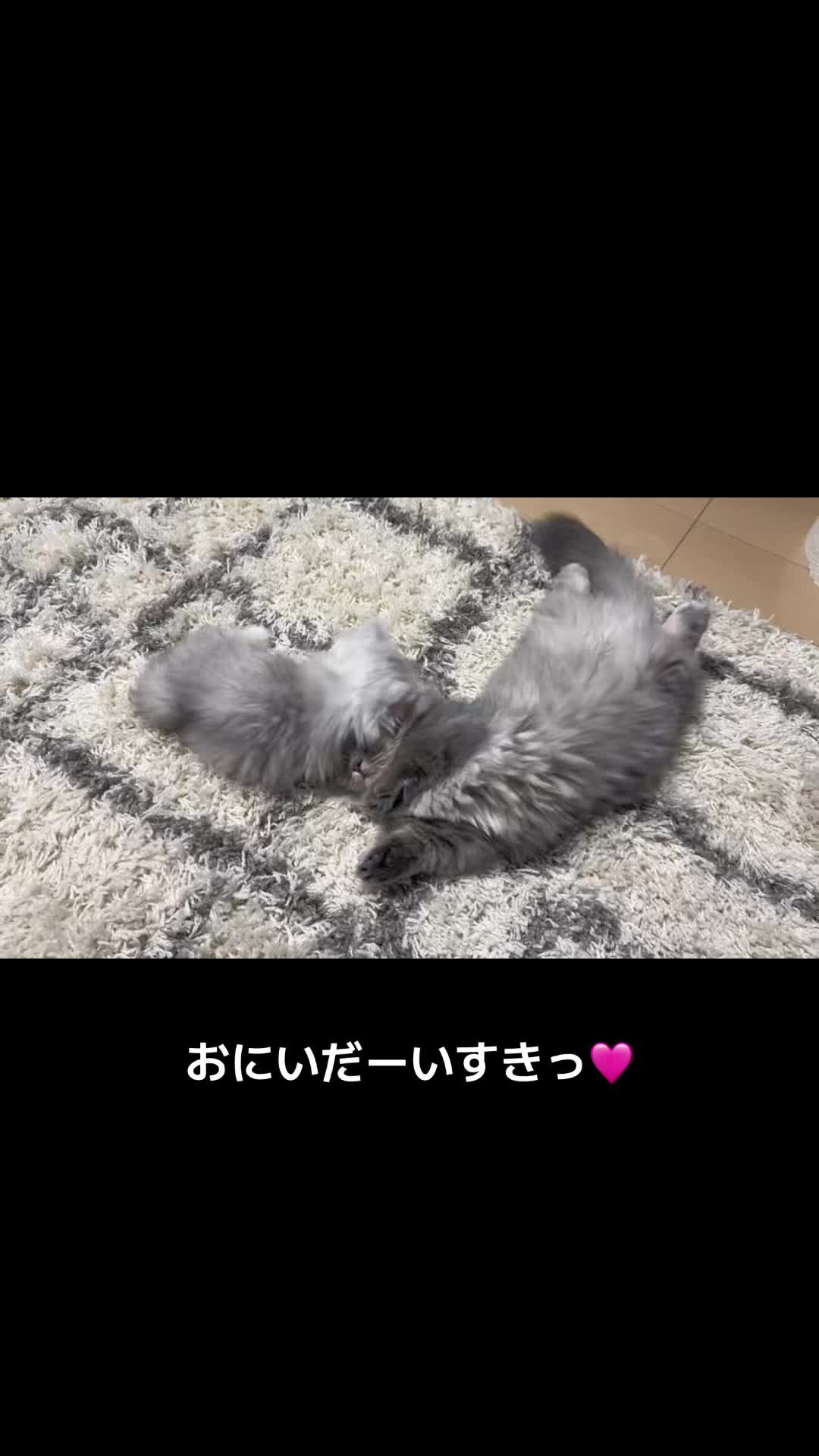 @M33♡