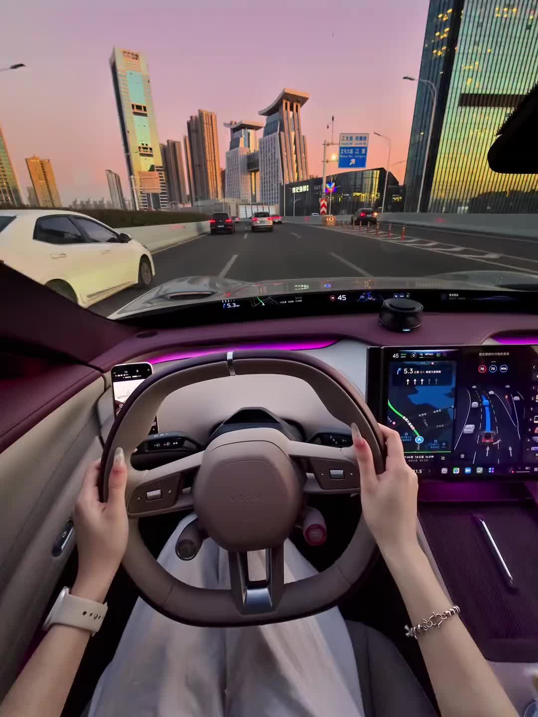 @revopanda_auto_china