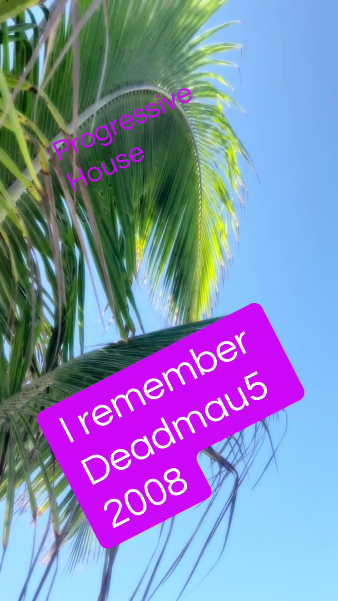 @BunnyAli