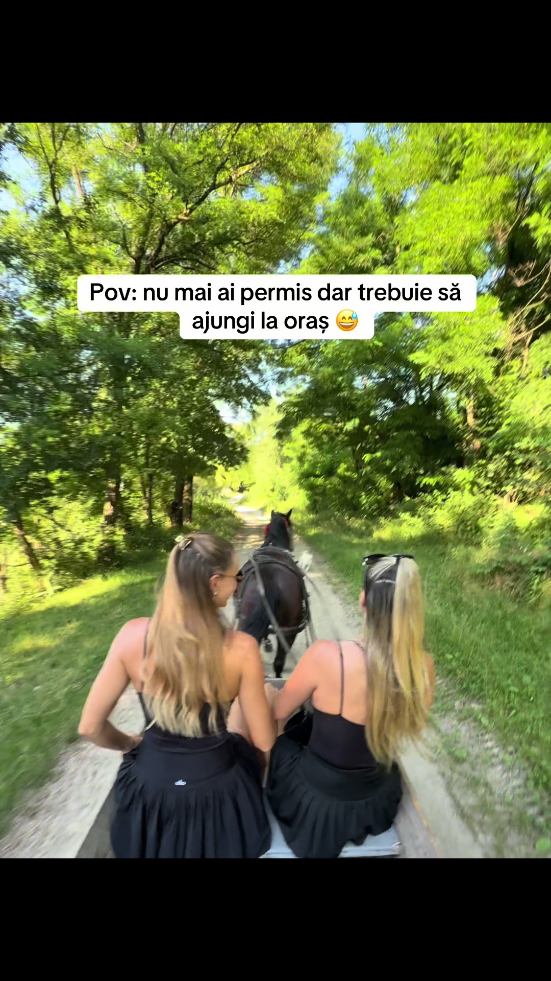 @Ana Maria