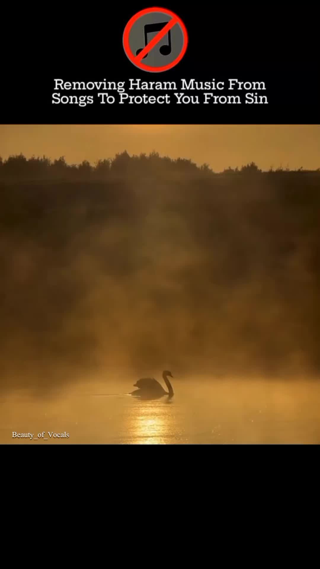 @𝐁𝐞𝐚𝐮𝐭𝐲_𝐨𝐟_𝐕𝐨𝐜𝐚𝐥𝐬
