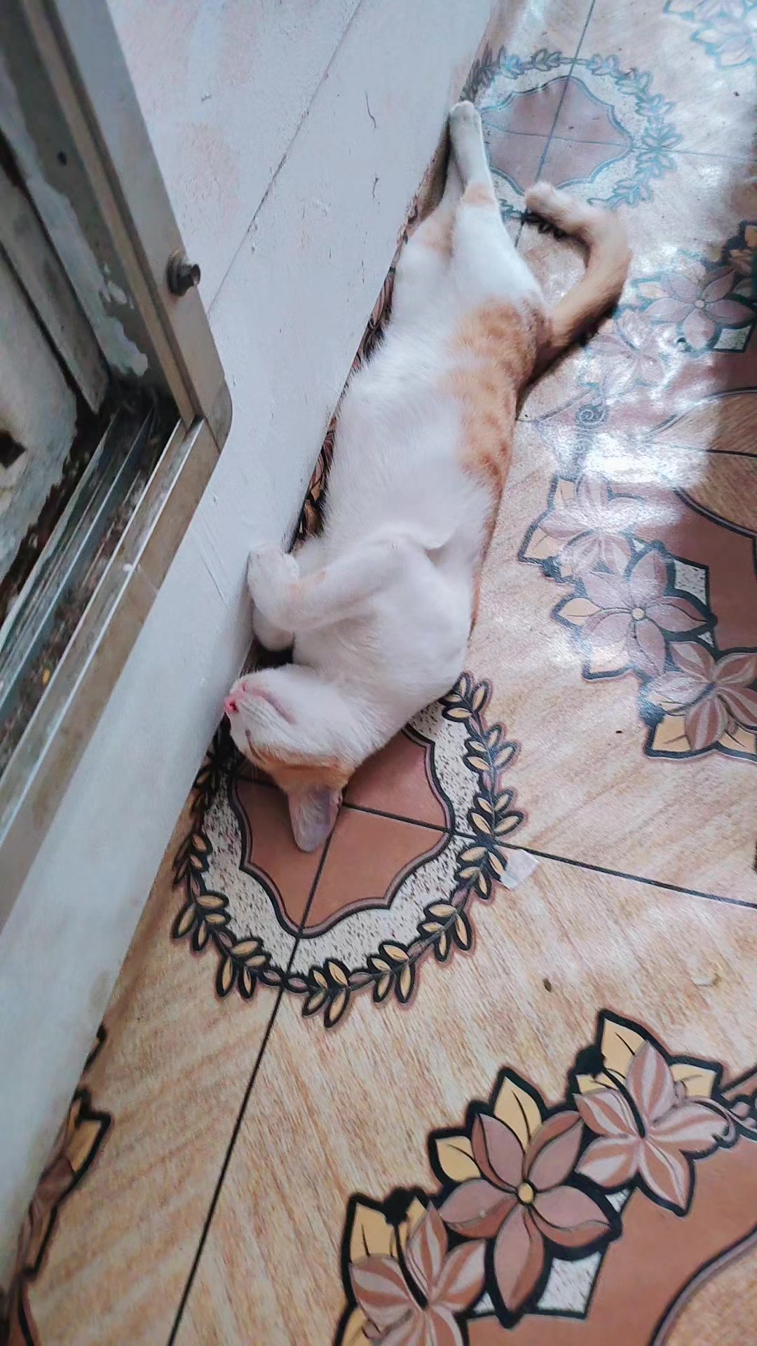 @╰‿╯YANUR︵숬