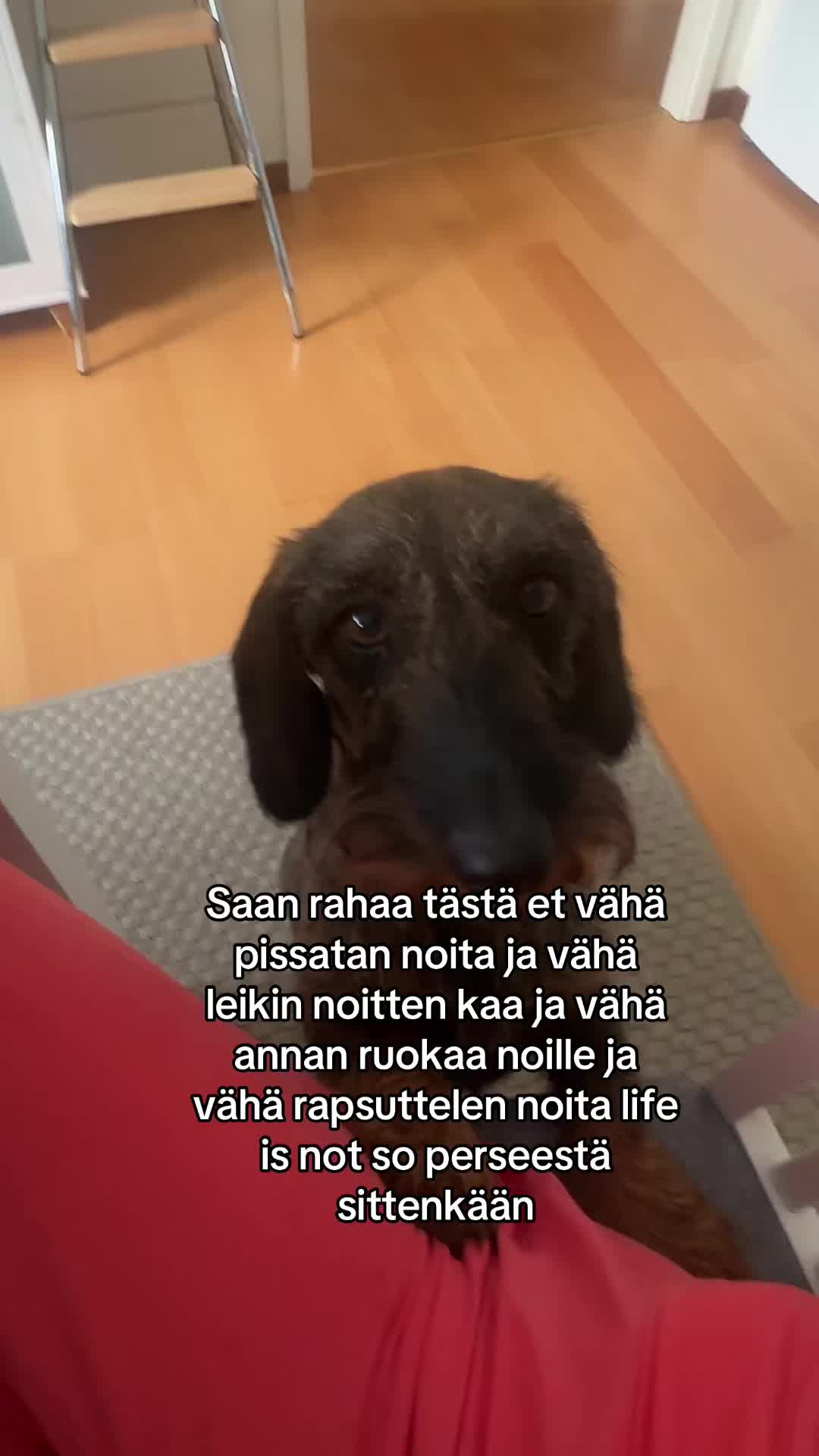 @ninna!