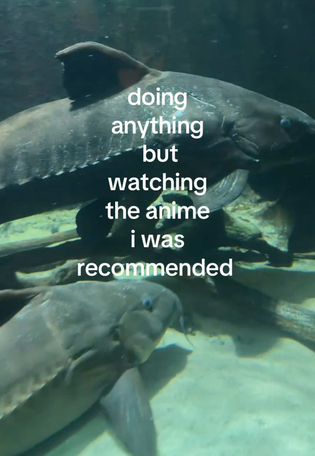 @jem 𝜗𝜚