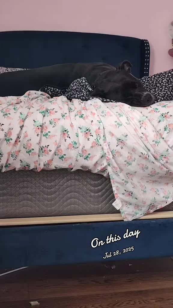 @oldfatchick