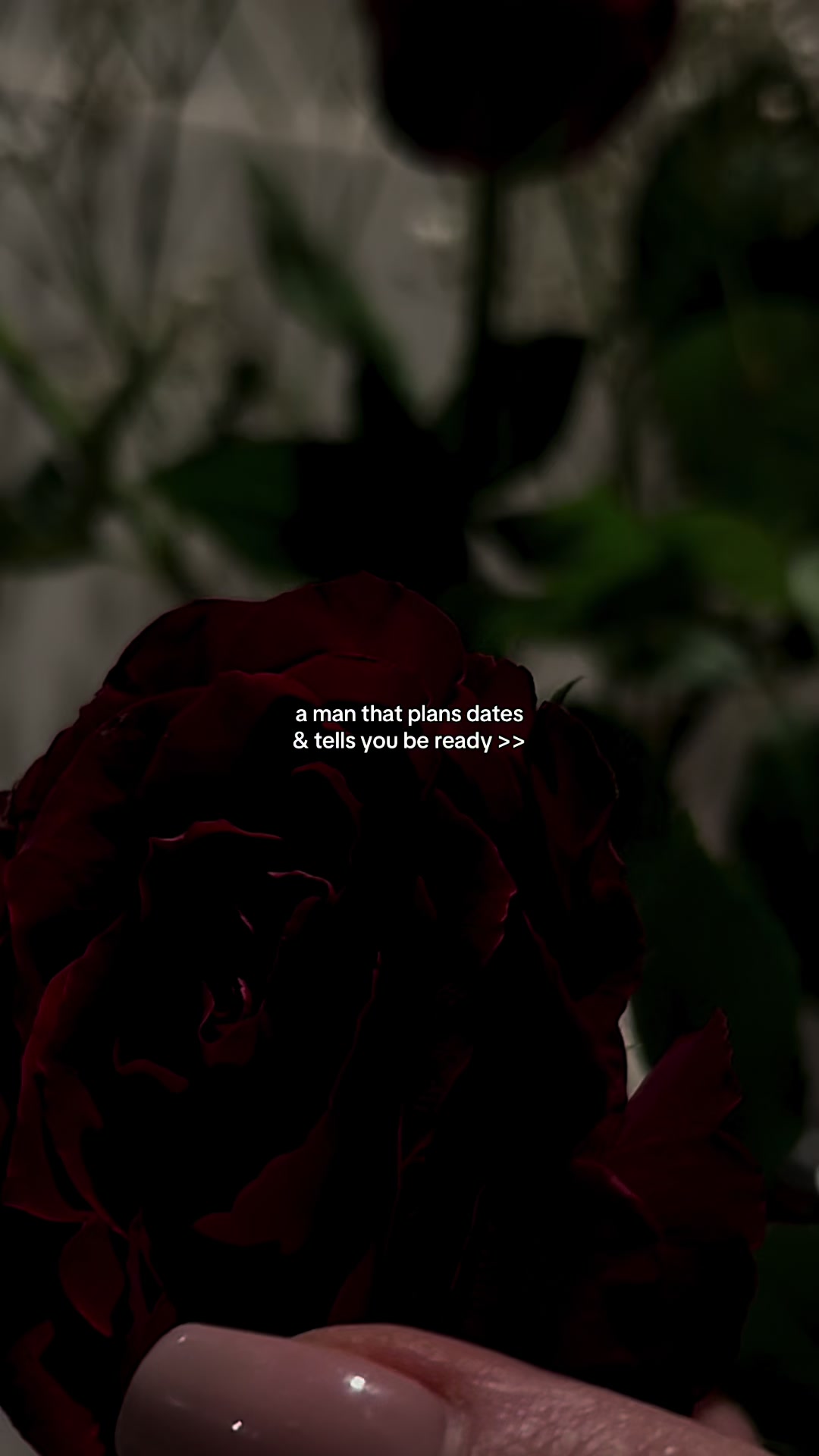 @Emma Rose