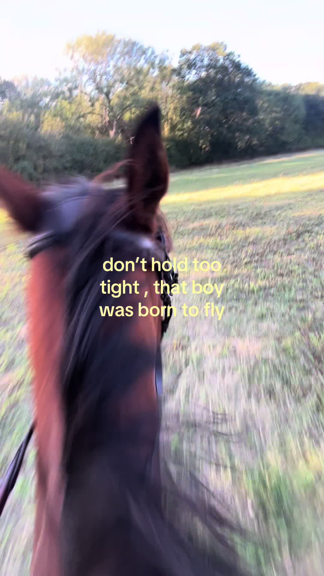 @🥂🐎🦢