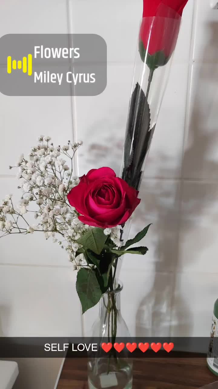 @Jade Empress 777