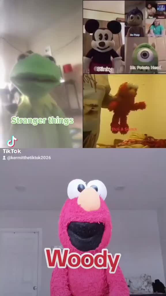 @Kermit The Frog Tiktok