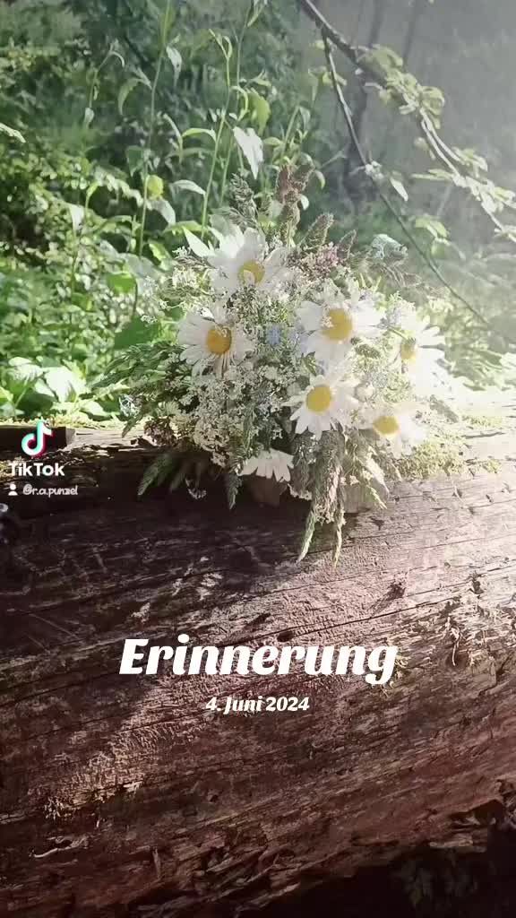 @Rap&uuml;nzelChen