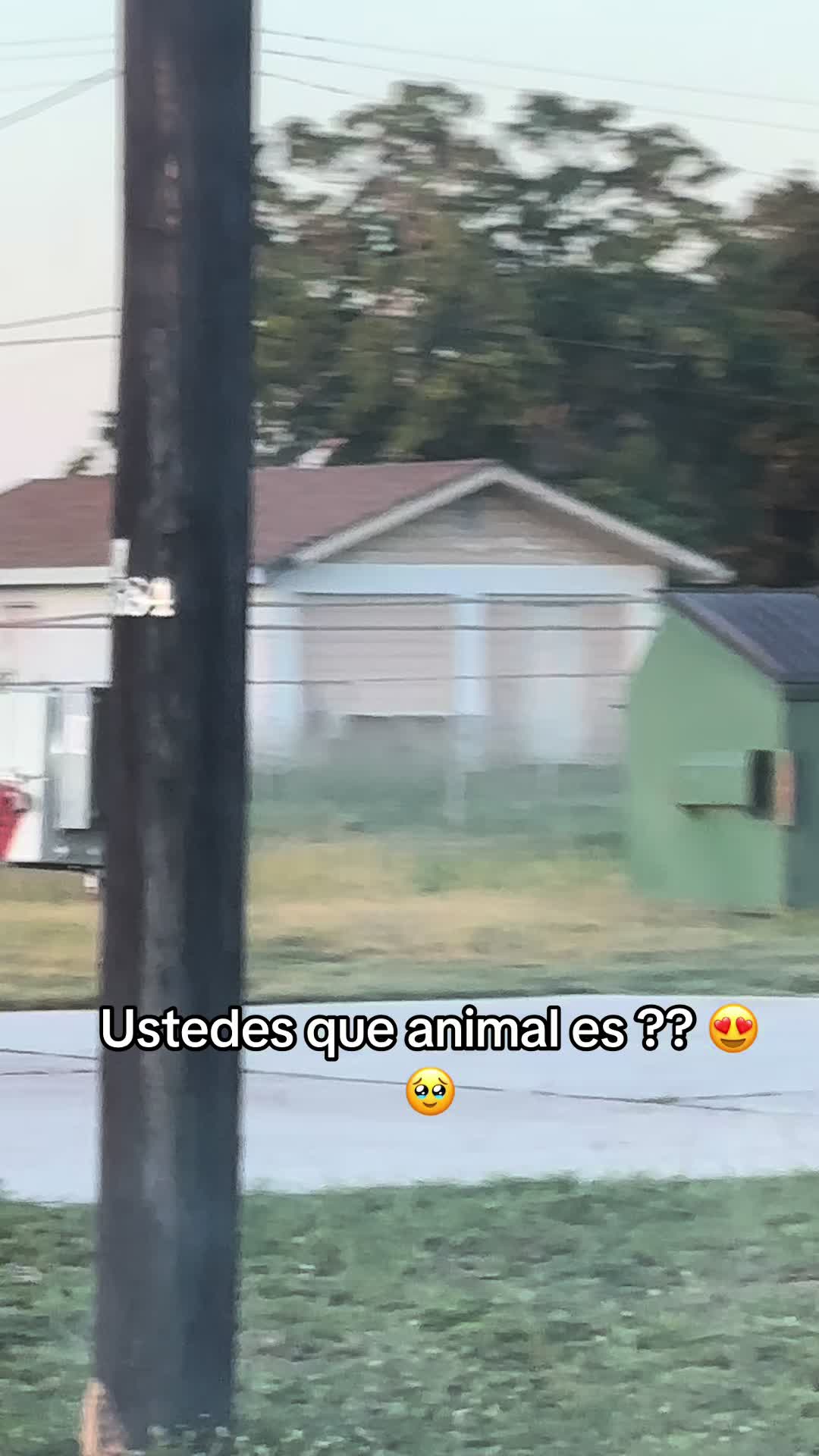 @Diana ๐๐น